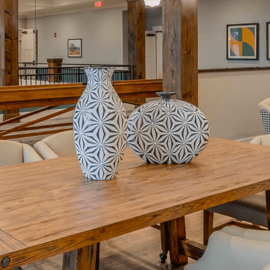 Everlan Senior Living Johnson City, Tennessee er Group