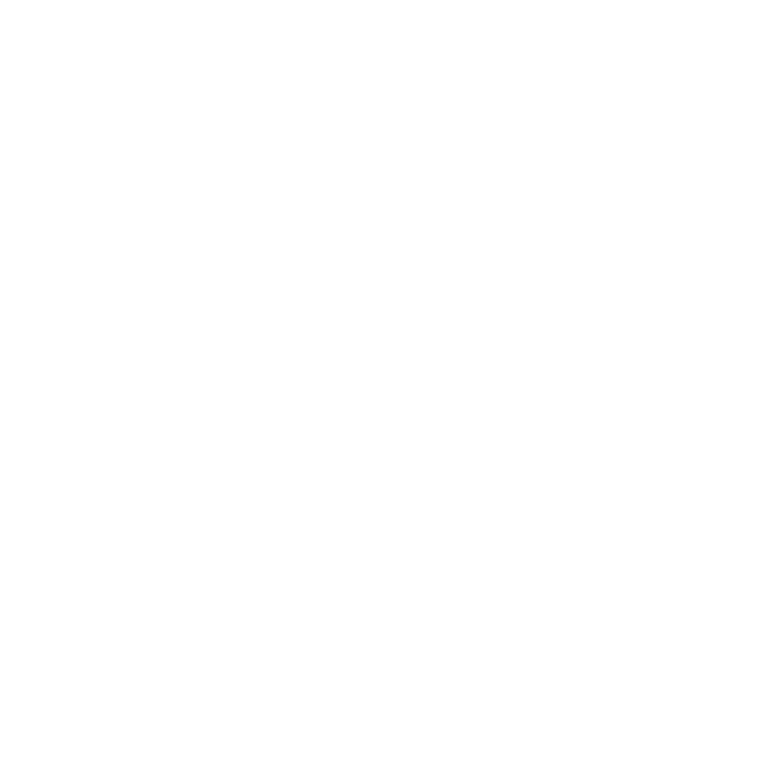 MORE-THAN-45-YRS-EXPERIENCE